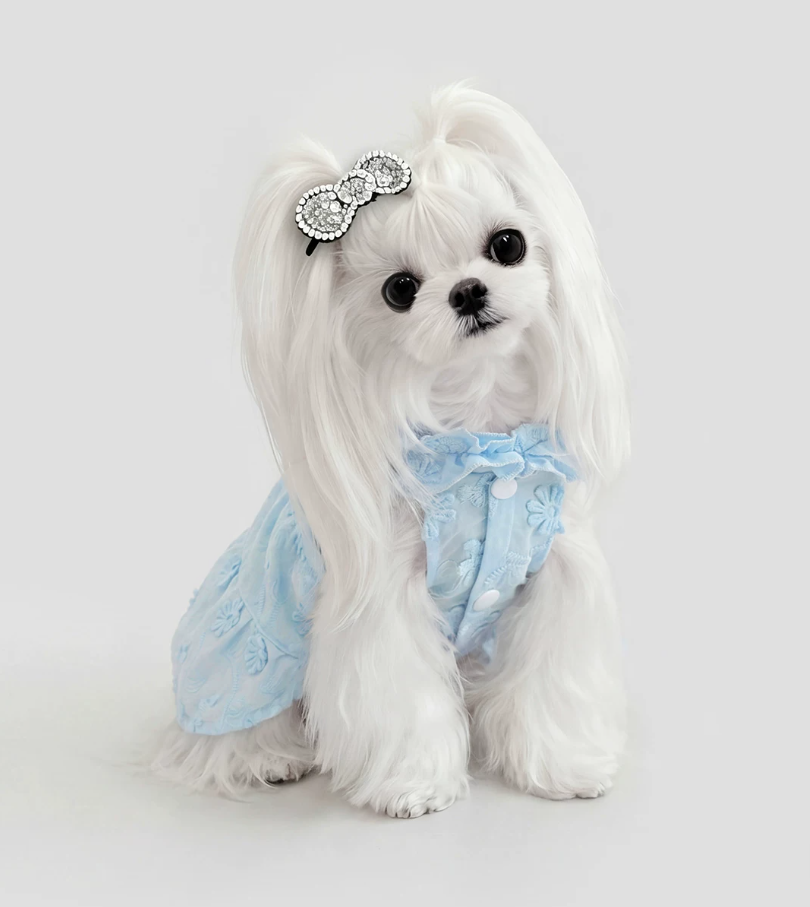 Blue Garden Pet Dress