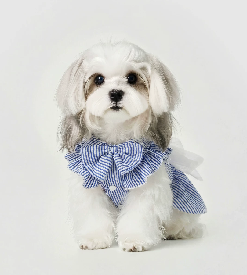 Blue Bow Pet Dress