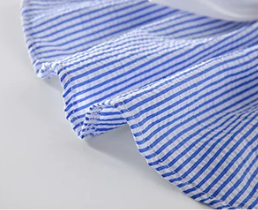 Blue Bow Pet Dress