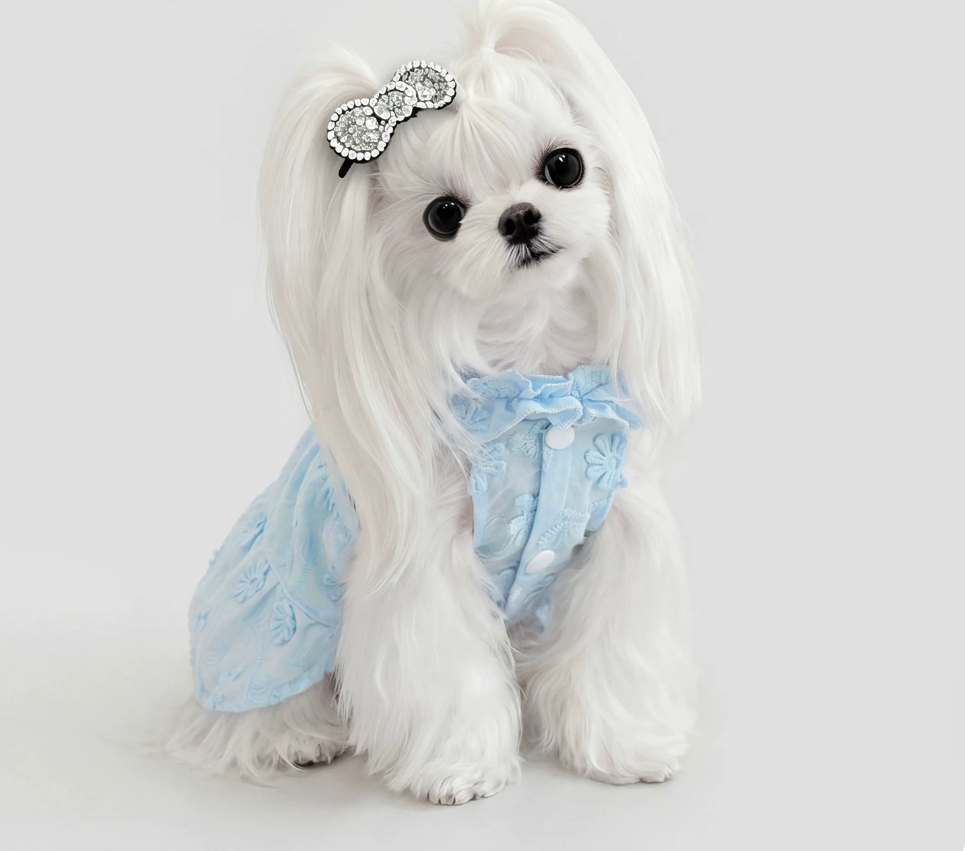 Blue Garden Pet Dress
