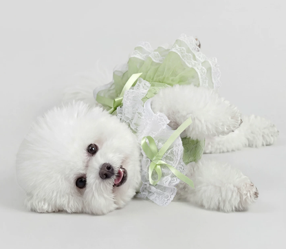 Green Lace Pet Dress