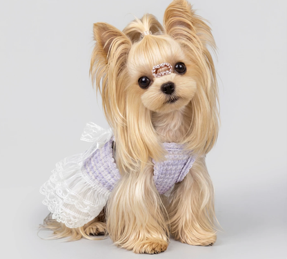 Lilac Lace Pet Dress