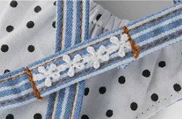 Blue Striped Pet Dress