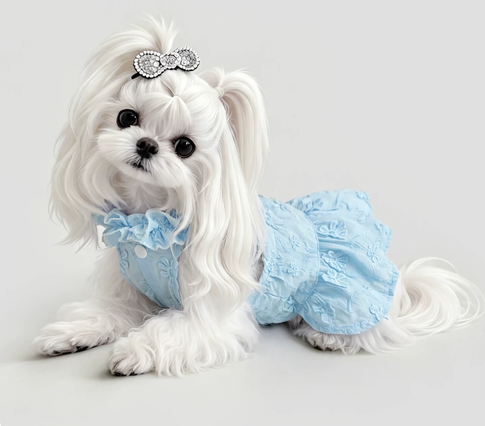 Blue Garden Pet Dress
