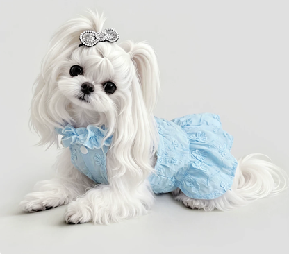 Blue Garden Pet Dress