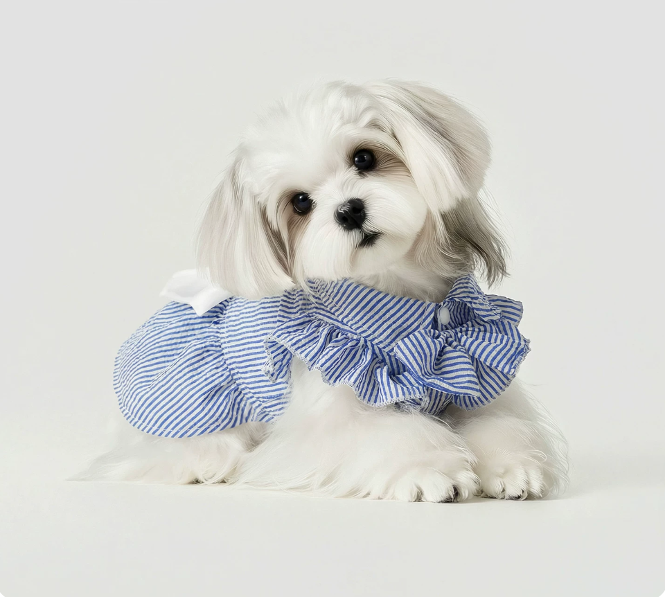 Blue Bow Pet Dress