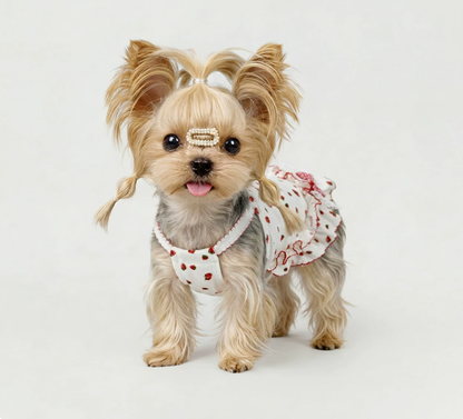 Strawberry Ruffle Pet Dress