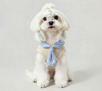 Striped Scarf Pet Vest