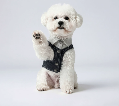 Black Denim Pet Vest
