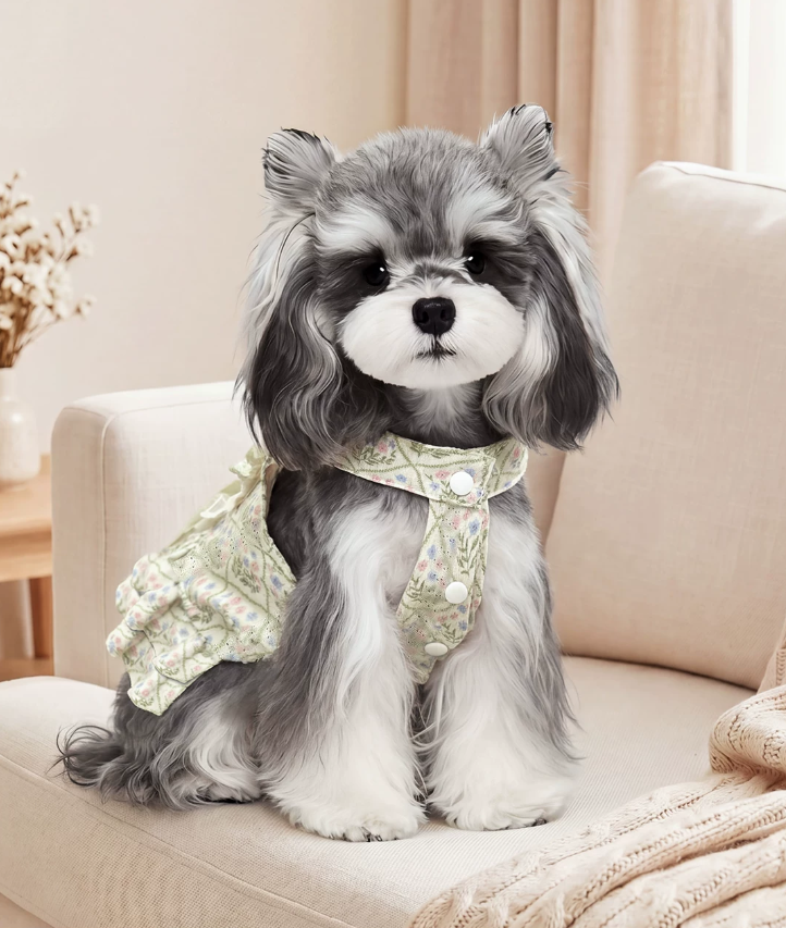 Floral Ruffle Pet Dress