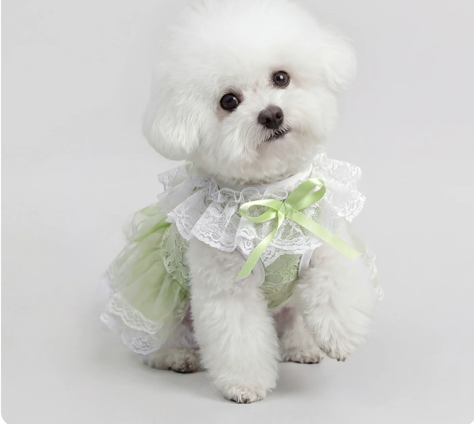 Green Lace Pet Dress