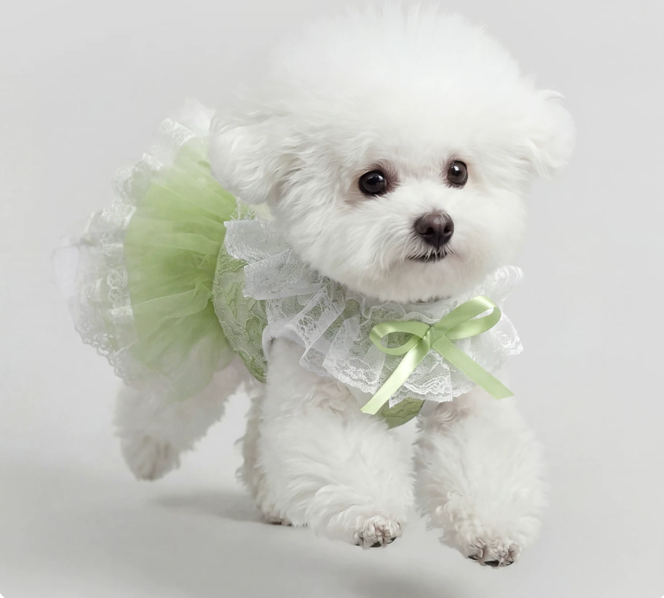 Green Lace Pet Dress
